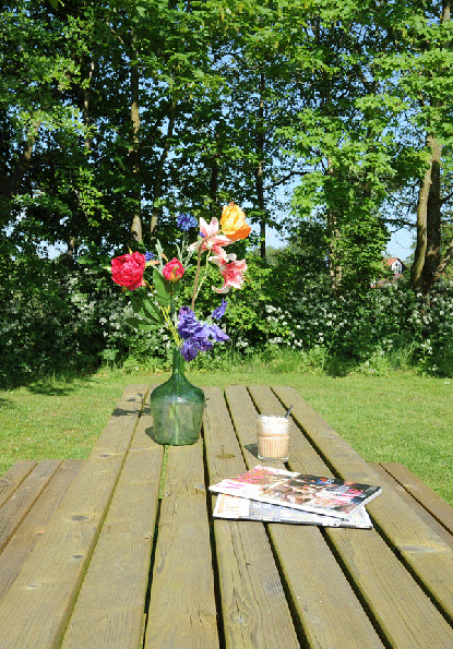picknicktafel in de tuin